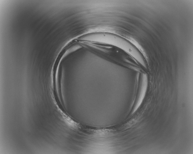 X0000069790988200606091738