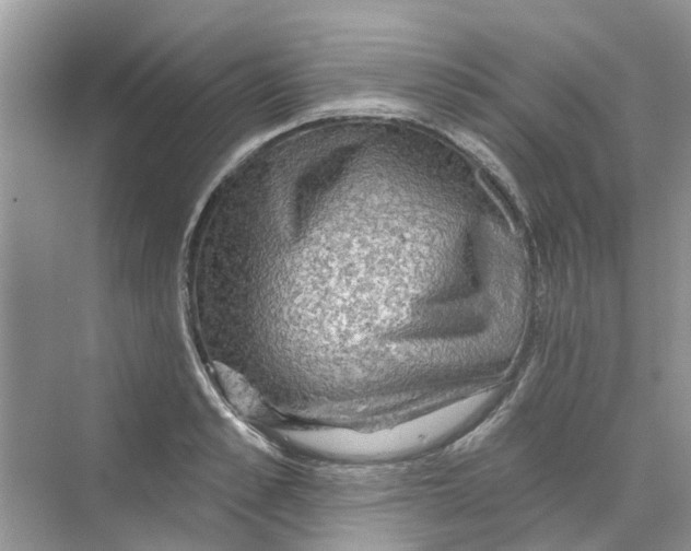 X0000069790989200606091738