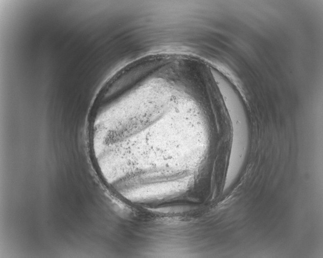 X0000069790990200606091738