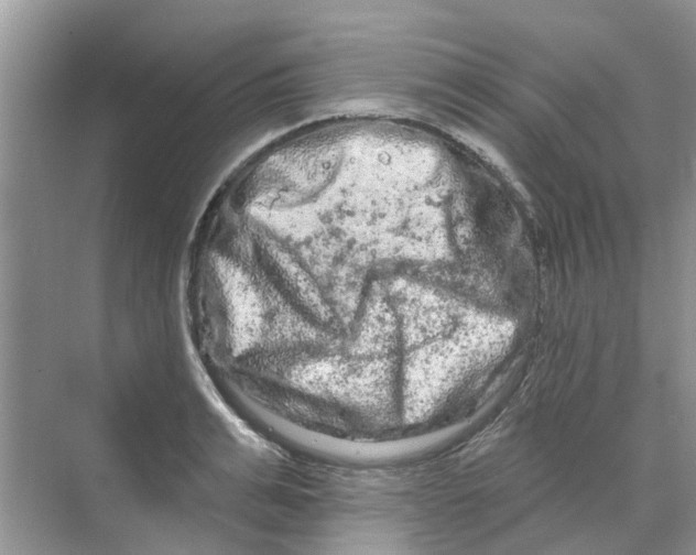 X0000069790991200606091738