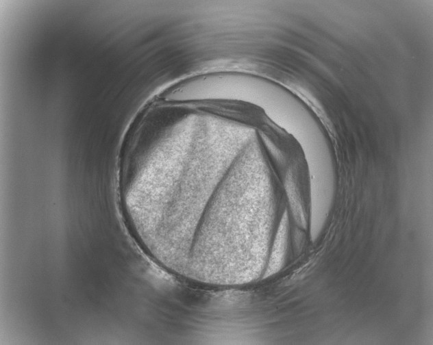 X0000069790992200606091738