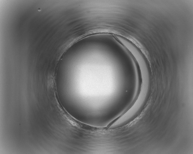 X0000069790993200606091738