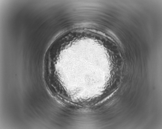 X0000069790994200606091738