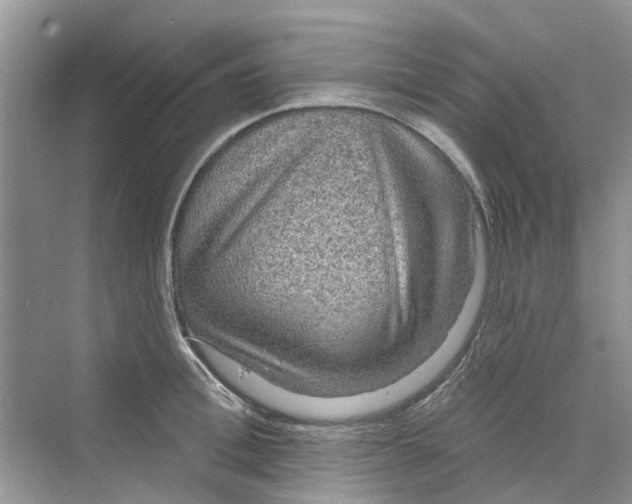 X0000069790996200606091738