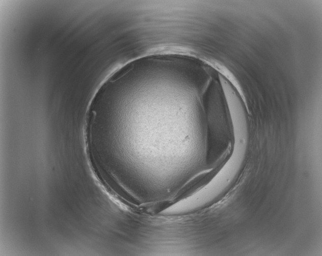 X0000069790997200606091738