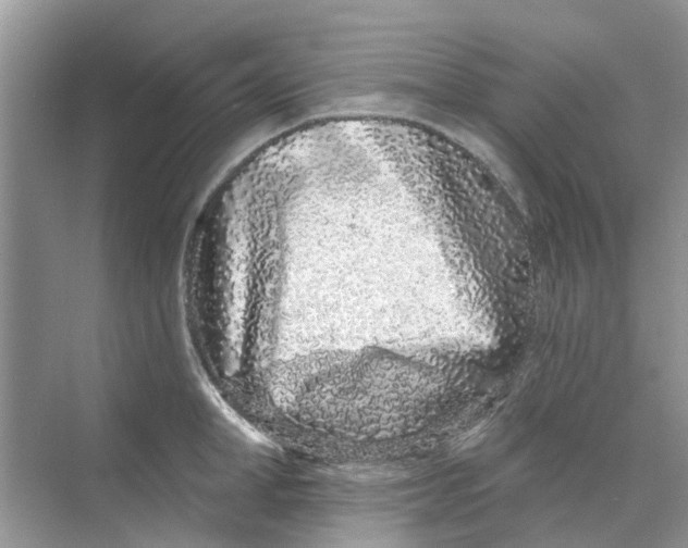 X0000069790998200606091738