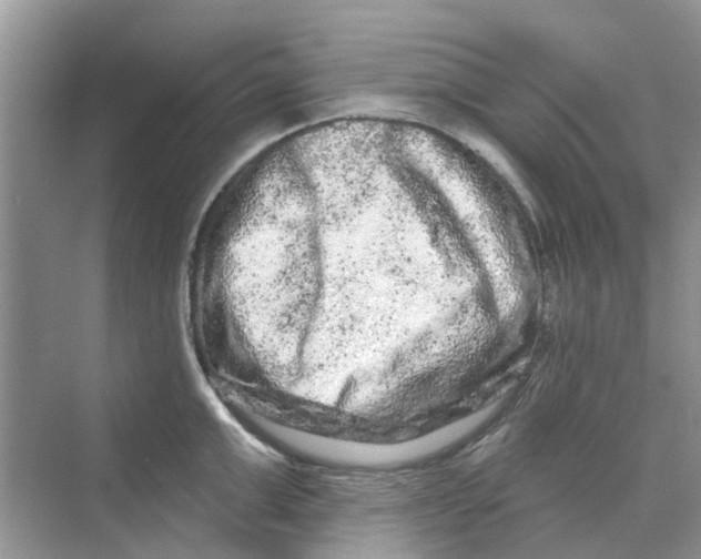 X0000069790999200606091738