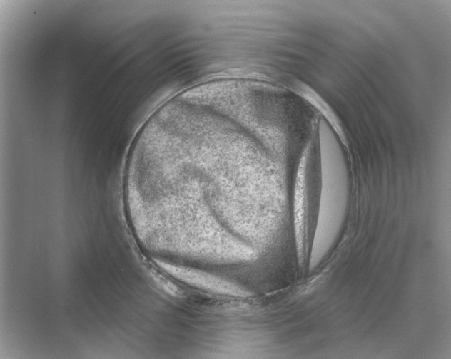 X0000069791002200606091738