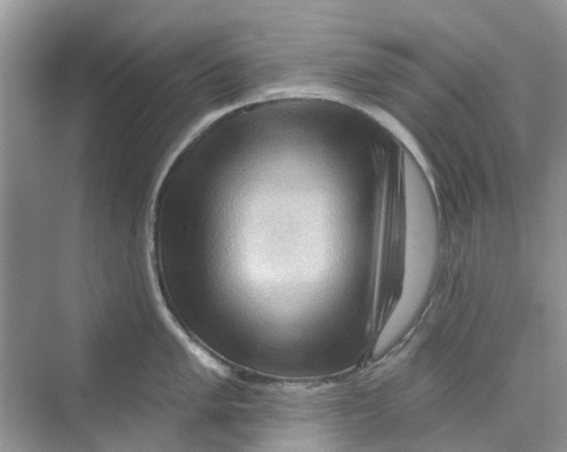 X0000069791005200606091738