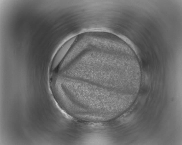 X0000069791006200606091738