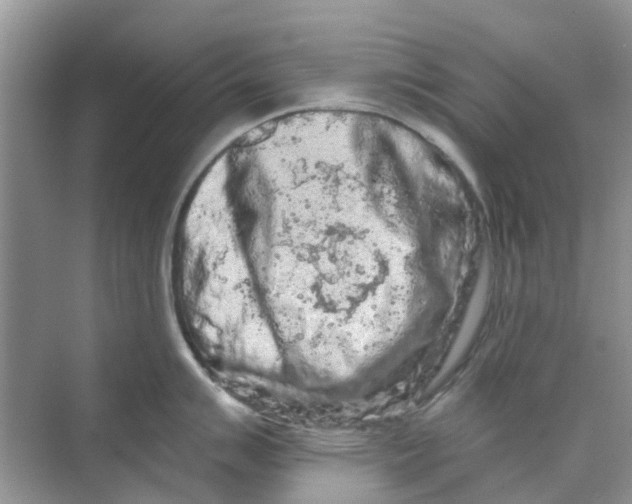 X0000069791007200606091738