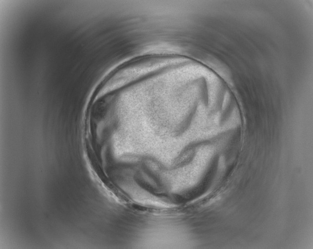 X0000069791008200606091738