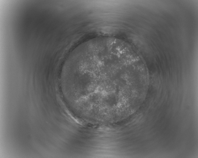 X0000069791009200606091737