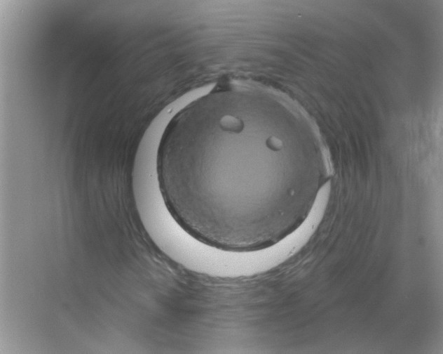 X0000069791010200606091737