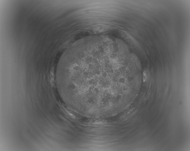 X0000069791011200606091737