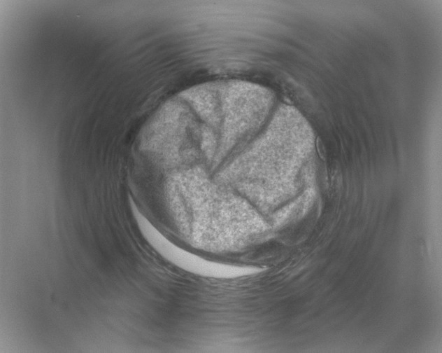 X0000069791012200606091737