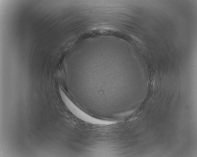 X0000069791014200606091737