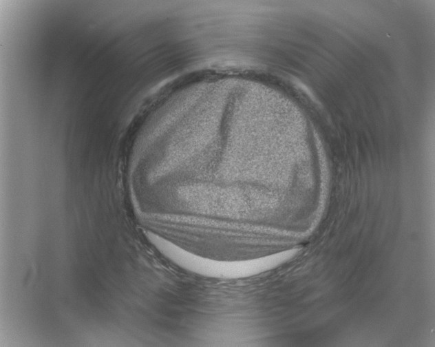 X0000069791016200606091737