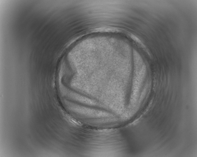 X0000069791017200606091737