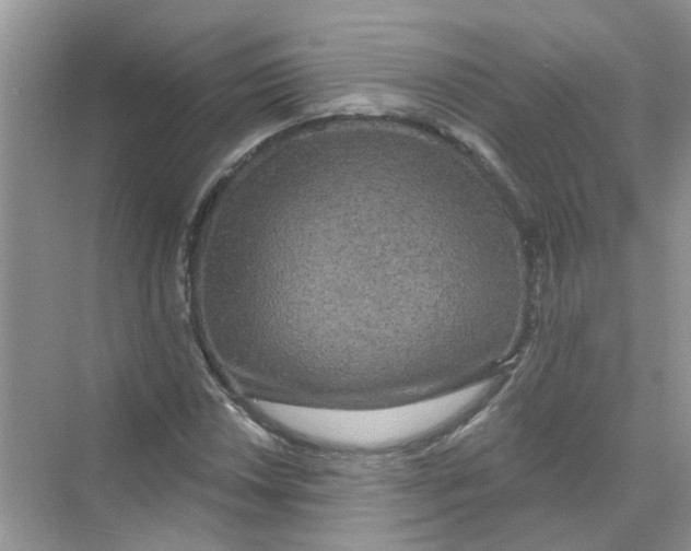 X0000069791018200606091737