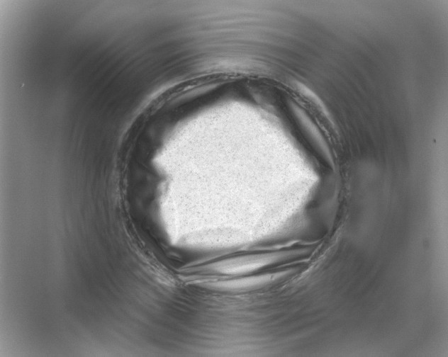 X0000069791019200606091737