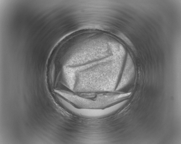 X0000069791020200606091737