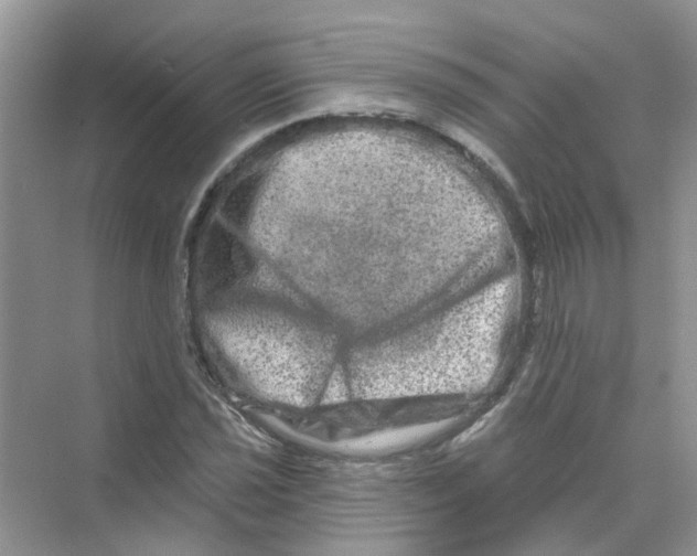 X0000069791021200606091737