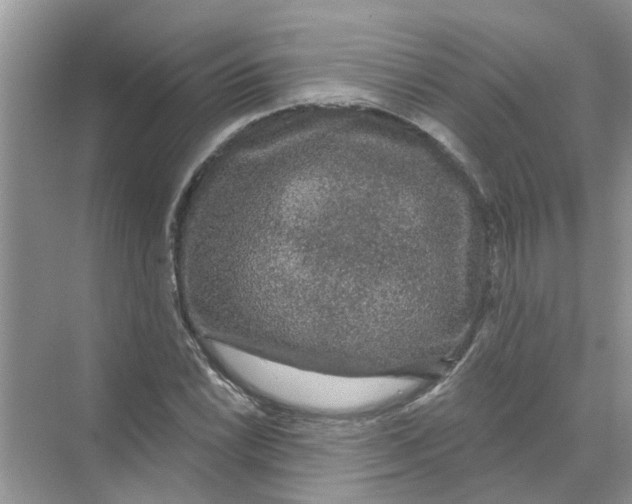 X0000069791022200606091737