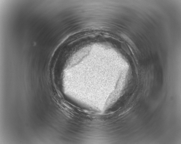 X0000069791023200606091737