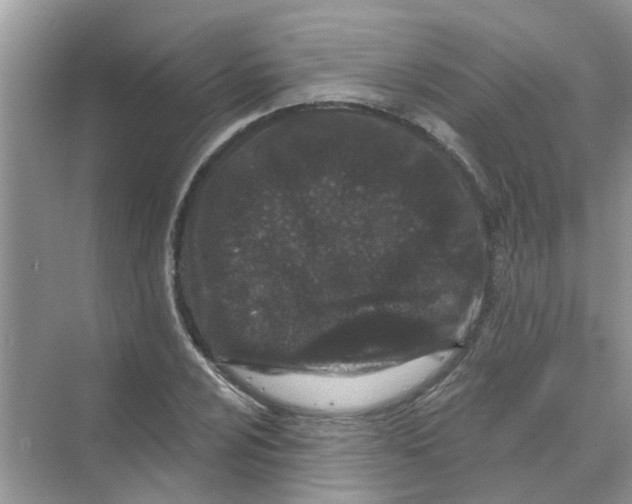 X0000069791024200606091737