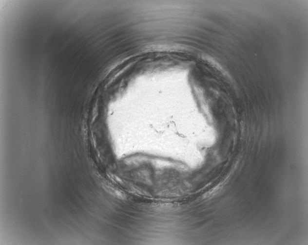 X0000069791025200606091737