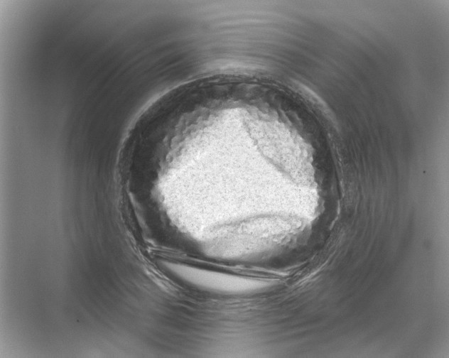 X0000069791027200606091737