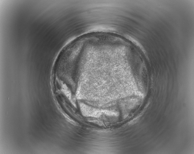 X0000069791029200606091737