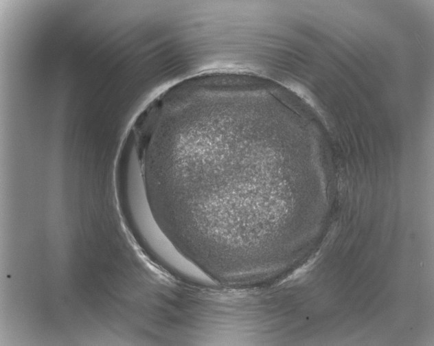 X0000069791030200606091737