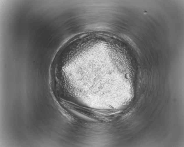 X0000069791031200606091737