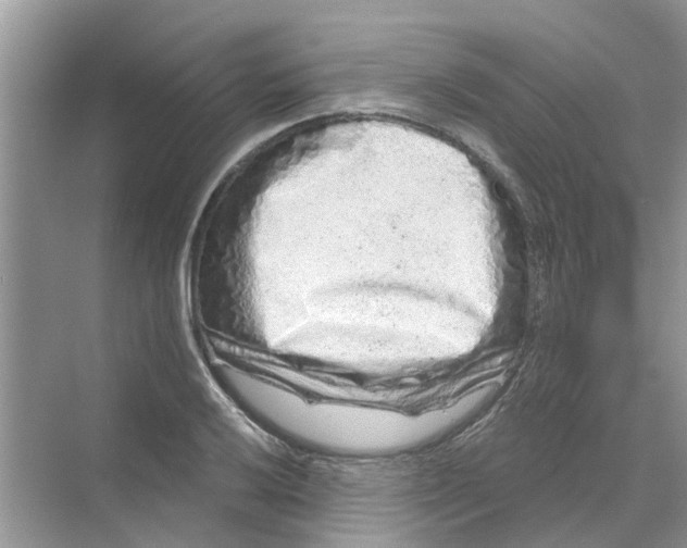 X0000069791032200606091737