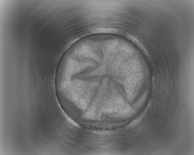 X0000069791033200606091738