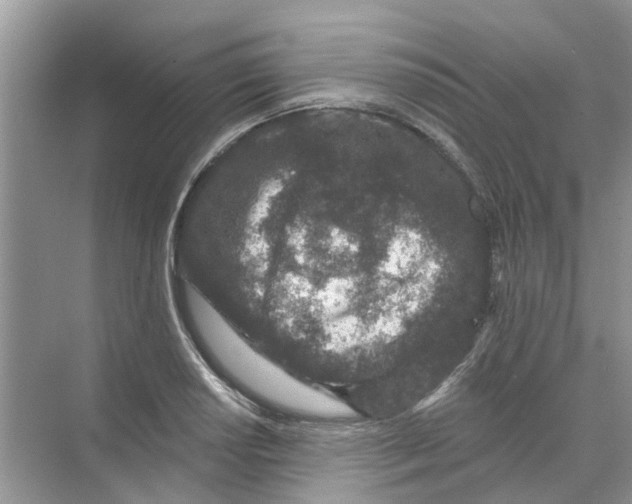 X0000069791034200606091738