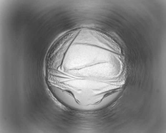 X0000069791036200606091738