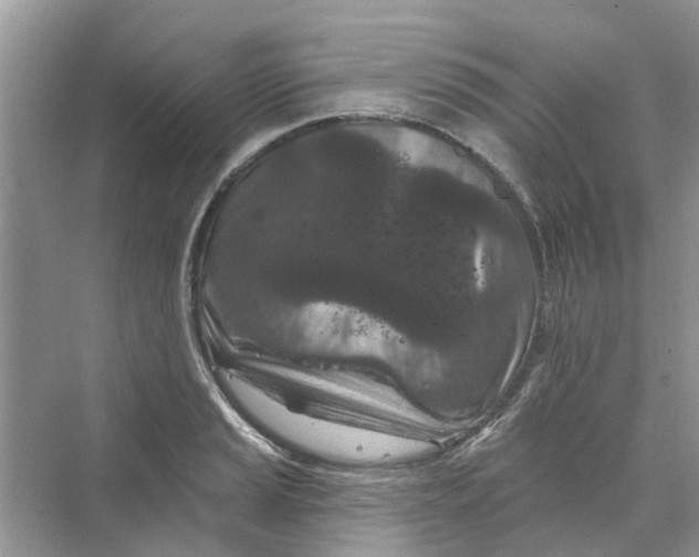 X0000069791037200606091738