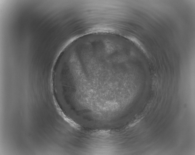 X0000069791038200606091738