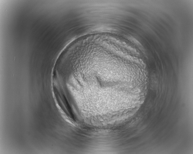 X0000069791039200606091738