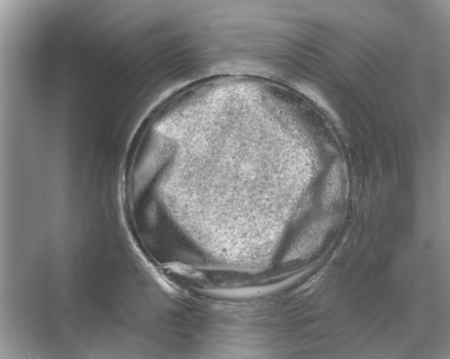 X0000069791040200606091738