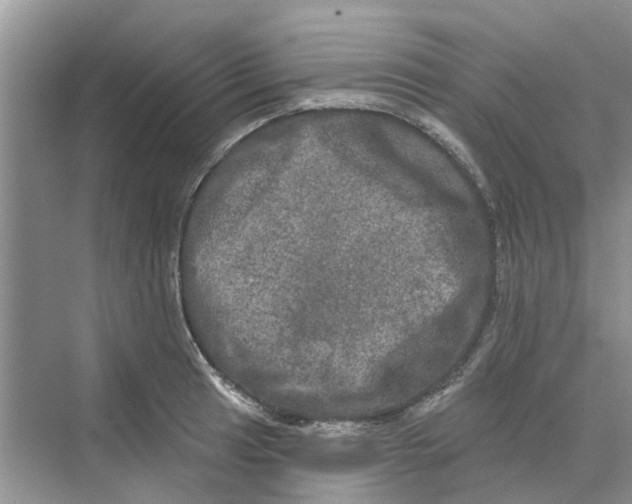 X0000069791041200606091738