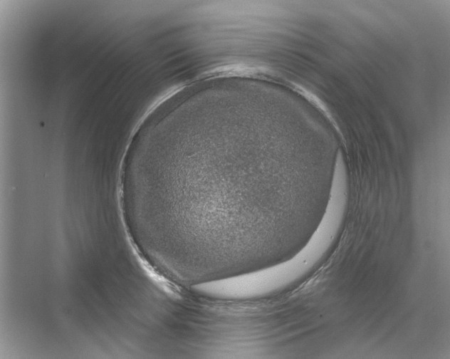 X0000069791042200606091738