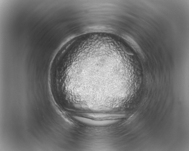 X0000069791043200606091738