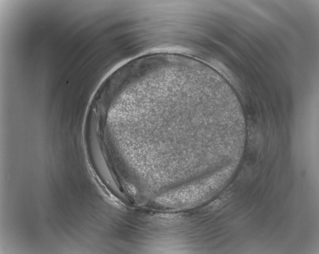 X0000069791044200606091738