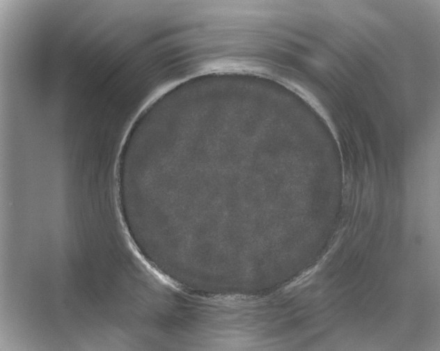 X0000069791045200606091738