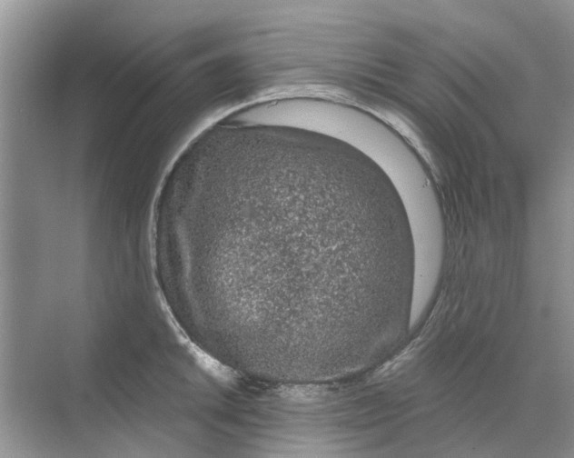 X0000069791046200606091738