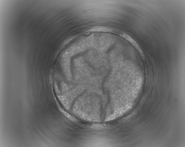 X0000069791049200606091738